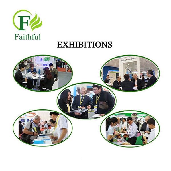 Faithful's Exhibition Faithful's Exhibition