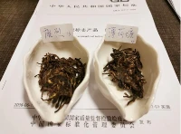 Tea polyphenols, also known as tannins or tannic acid, are the general names of polyphenols in tea, including catechins, anthocyanidins, flavonoids and flavonols, among which catechins account for the majority. Tea polyphenols are one of the main components of tea health care efficacy, and also the main substances that form the color, aroma and taste of tea. Tea polyphenols, also known as tannins or tannic acid, are the general names of polyphenols in tea, including catechins, anthocyanidins, flavonoids and flavonols, among which catechins account for the majority. Tea polyphenols are one of the main components of tea health care efficacy, and also the main substances that form the color, aroma and taste of tea.