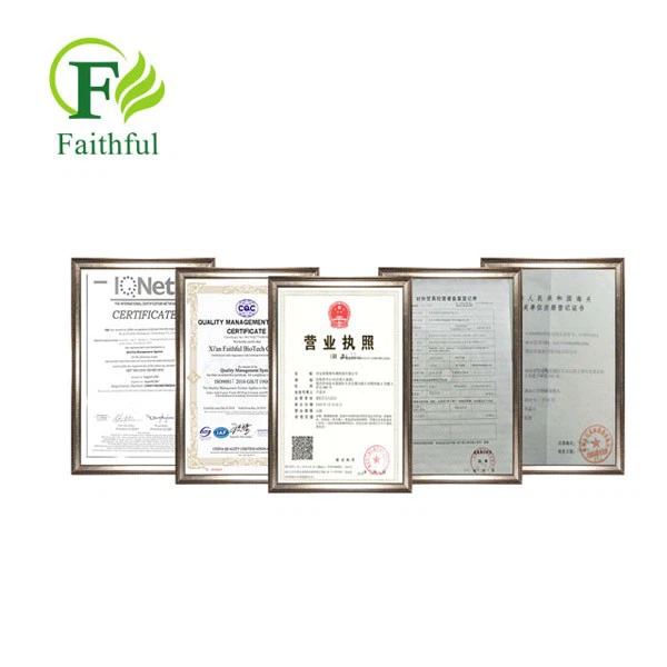 Rasagiline Mesylate Powder CAS 161735-79-1